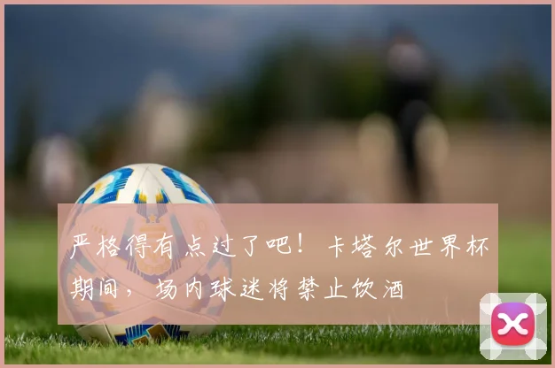 严格得有点过了吧！卡塔尔世界杯期间，场内球迷将禁止饮酒