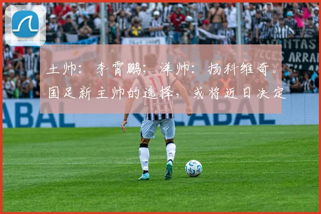 土帅：李霄鹏；洋帅：扬科维奇。国足新主帅的选择，或将近日决定