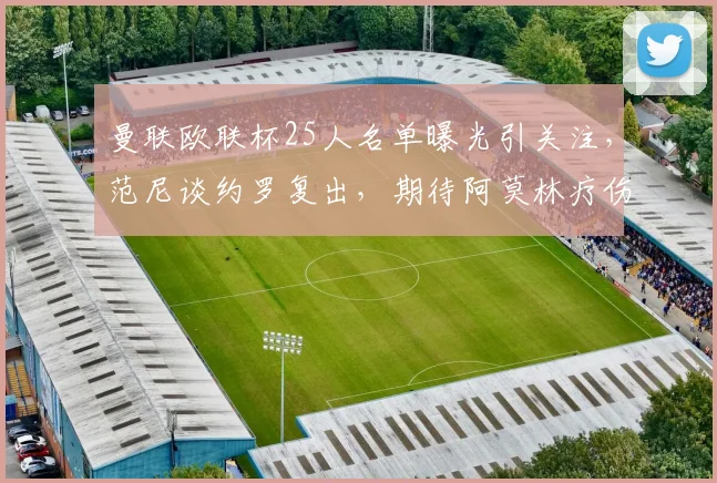 曼联欧联杯25人名单曝光引关注，范尼谈约罗复出，期待阿莫林疗伤员