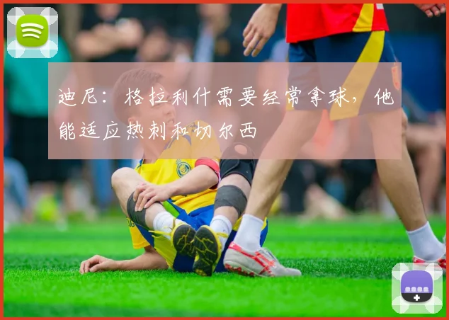 迪尼：格拉利什需要经常拿球，他能适应热刺和切尔西